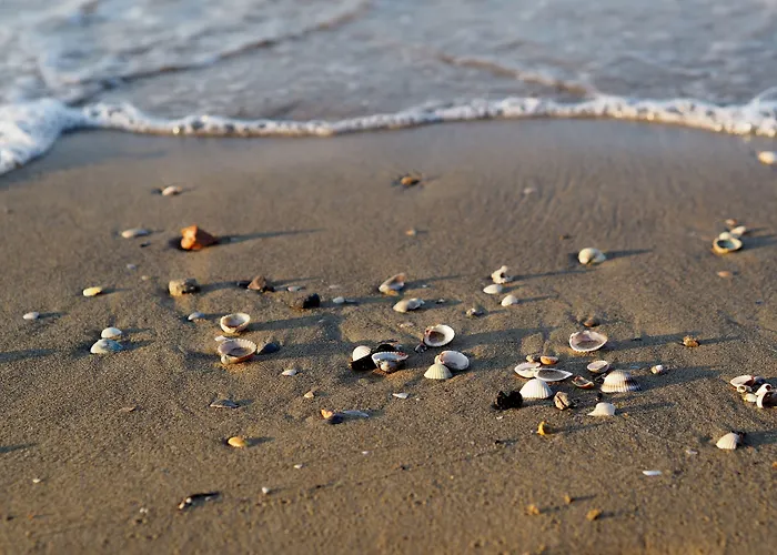 Lovely Flat With Side Sea View And Swimming Pool *